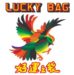 Lucky Bag & Swallow Plastic Trading Co., Ltd